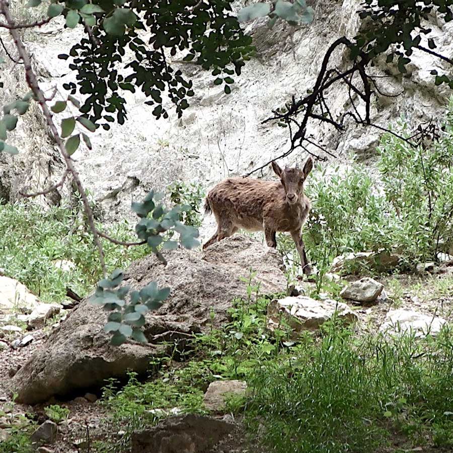 Caminito del Rey 8